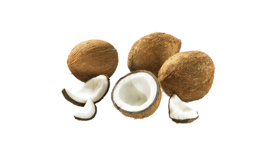 Noci di Cocco