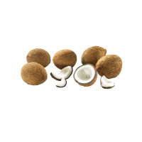 Noci di Cocco