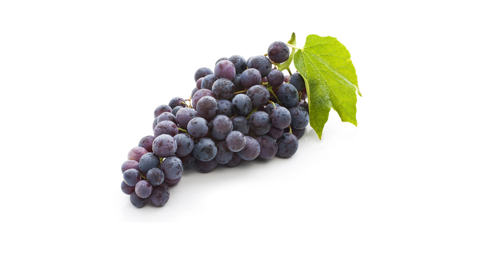 Uva Scura senza Semi