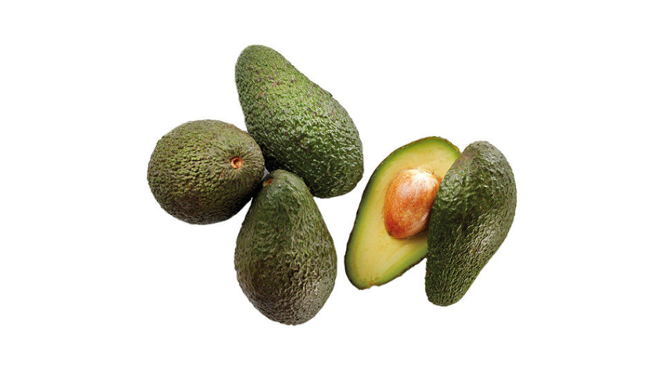 Avocado