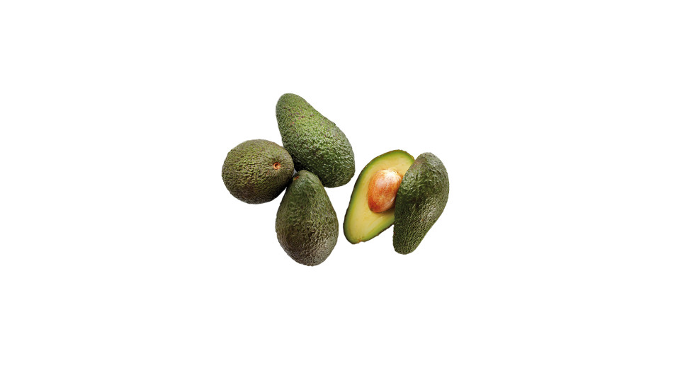 Avocado