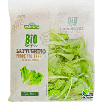 Lattughino Biologico