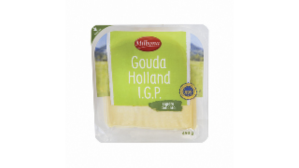 Gouda Holland Igp