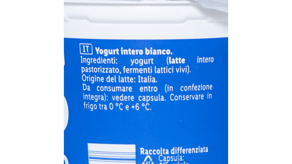 Yogurt Bianco Intero