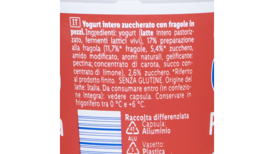 Yogurt Intero Fragola