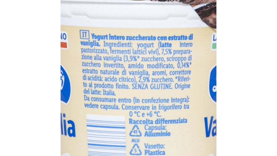 Yogurt Intero Vaniglia