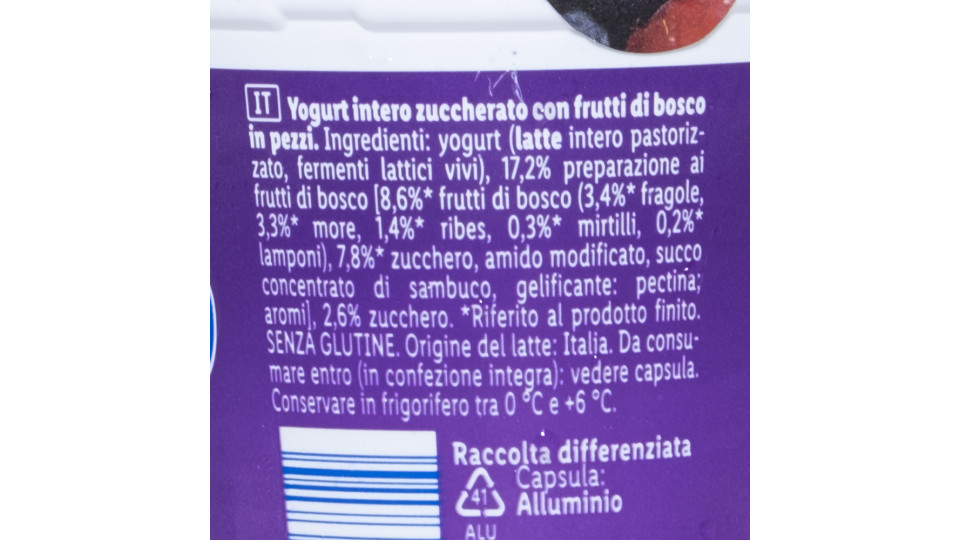 Yogurt Intero Frutti di Bosco