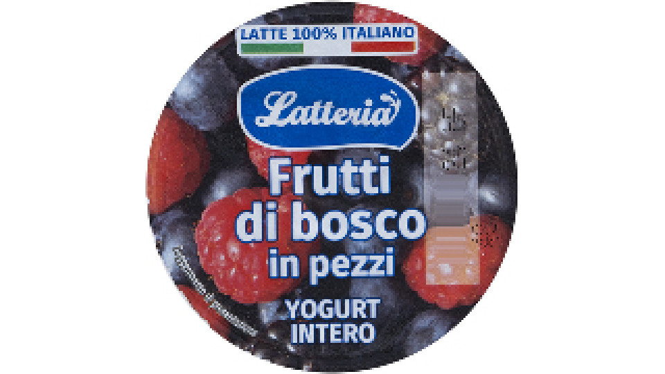 Yogurt Intero Frutti di Bosco