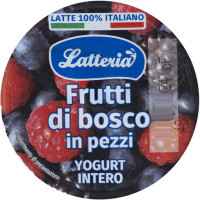 Yogurt Intero Frutti di Bosco