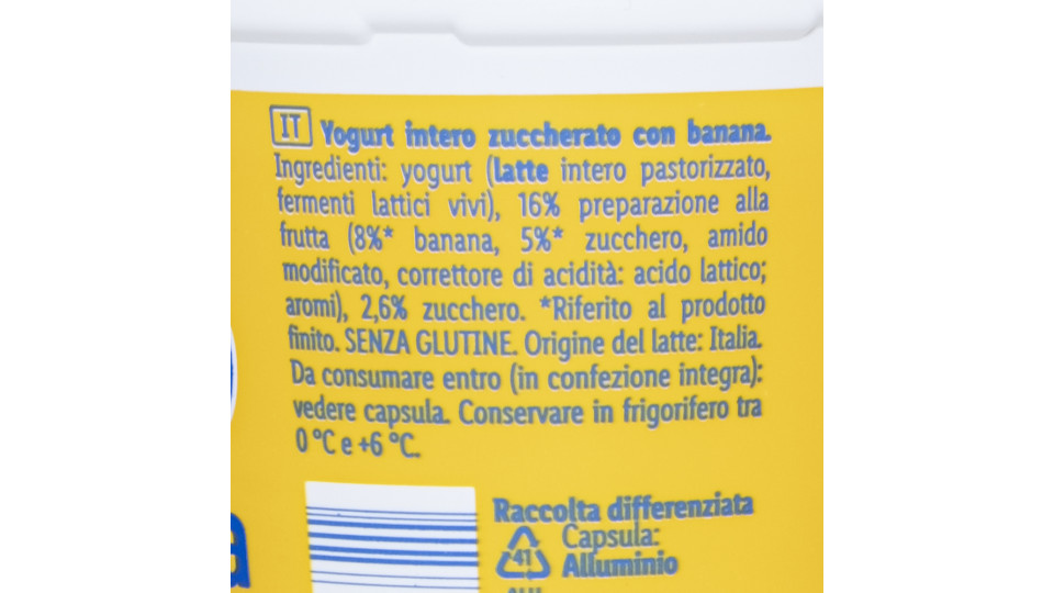 Yogurt Intero Banana
