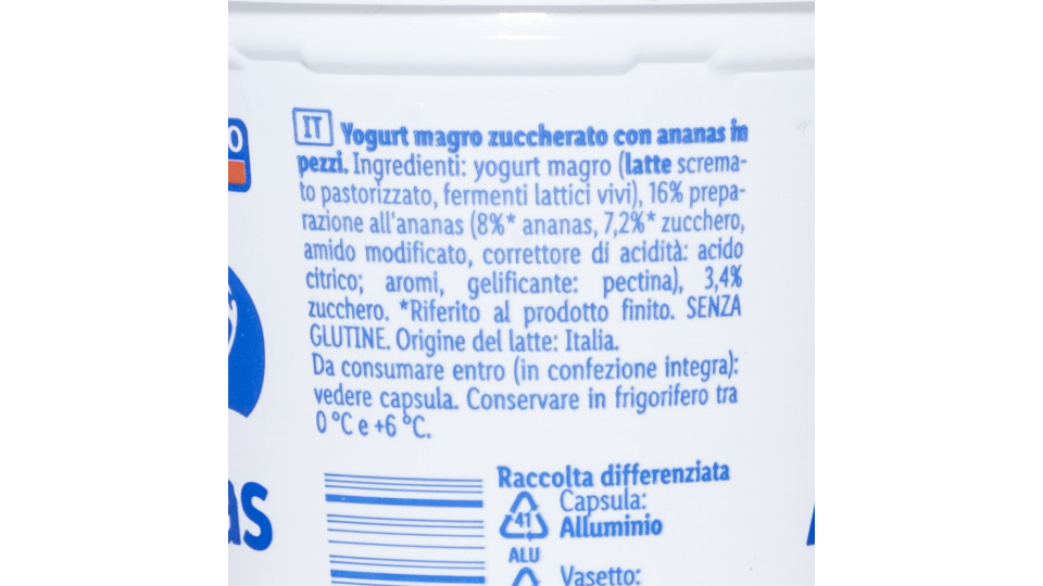 Yogurt Magro Ananas