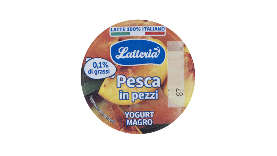 Yogurt Magro Pesca