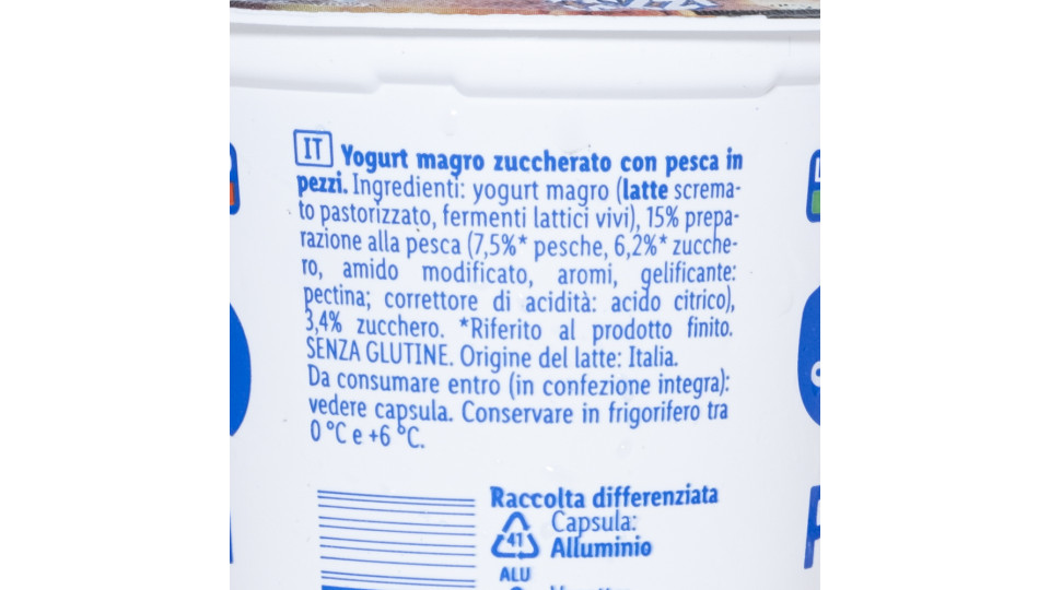 Yogurt Magro Pesca