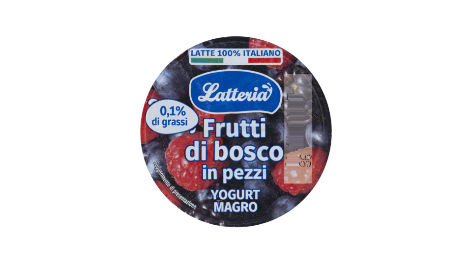 Yogurt Magro Frutti di Bosco