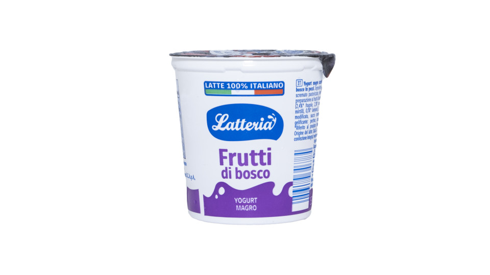 Yogurt Magro Frutti di Bosco