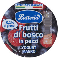 Yogurt Magro Frutti di Bosco