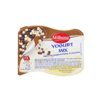 Yogurt alla Vaniglia con Palline di Cioccolato
