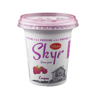 Skyr ai Lamponi