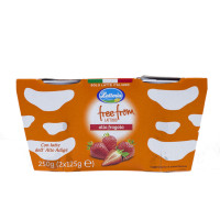 Yogurt Fragola senza Lattosio