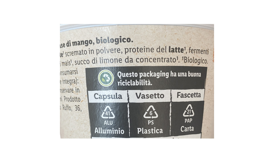 Yogurt Bio Mango