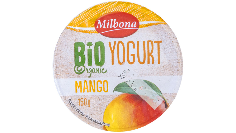 Yogurt Bio Mango