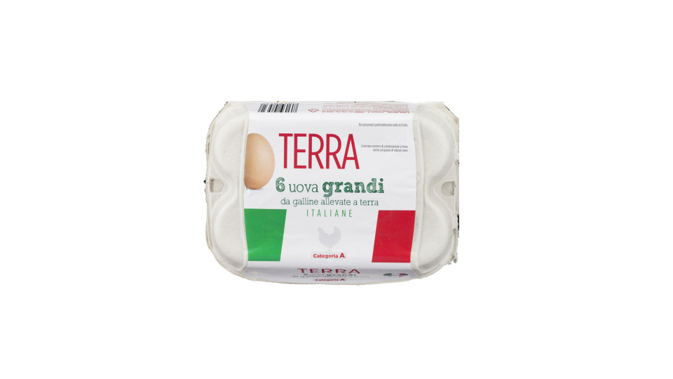 Uova Fresche Grandi Categoria a da Allevamento a Terra