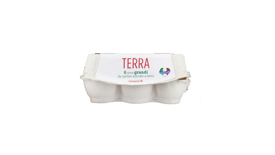 Uova Fresche Grandi Categoria a da Allevamento a Terra