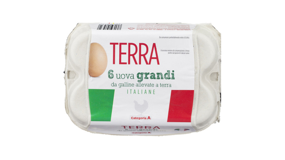 Uova Fresche Grandi Categoria a da Allevamento a Terra