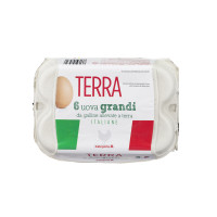 Uova Fresche Grandi Categoria a da Allevamento a Terra