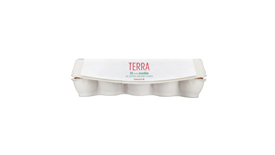 Uova Fresche Medie Categoria a da Allevamento a Terra