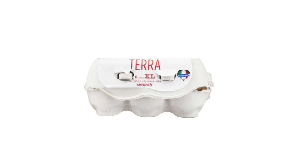 Uova Fresche Xl Categoria a da Allevamento a Terra
