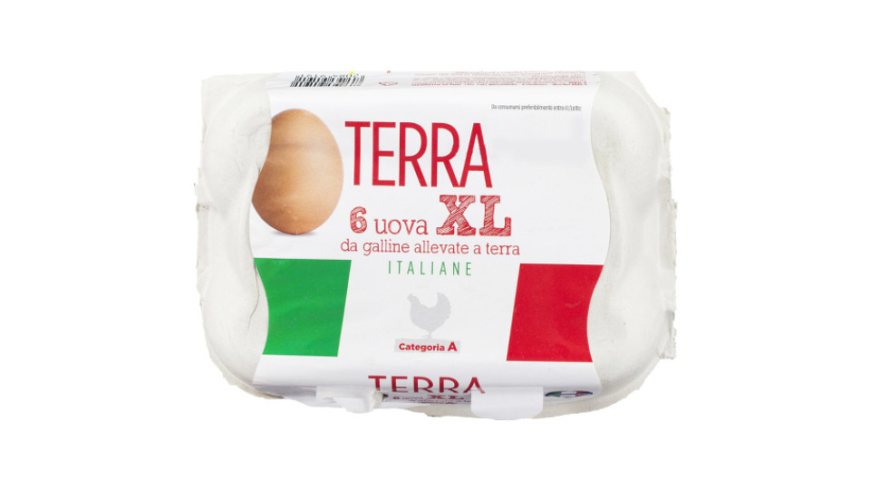 Uova Fresche Xl Categoria a da Allevamento a Terra