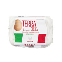 Uova Fresche Xl Categoria a da Allevamento a Terra