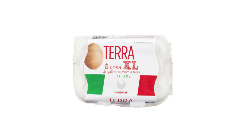 Uova Fresche Xl Categoria a da Allevamento a Terra