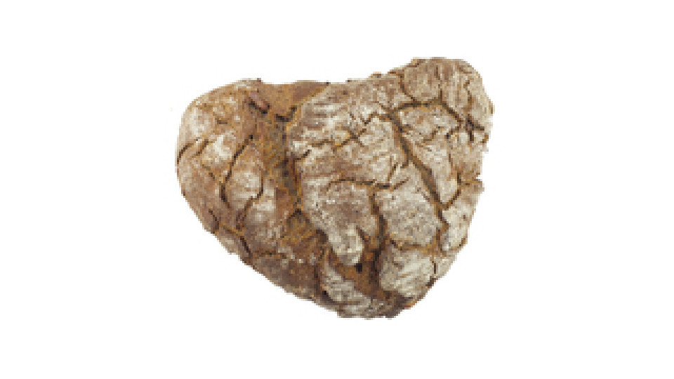 Pane al Grano Saraceno e Noci