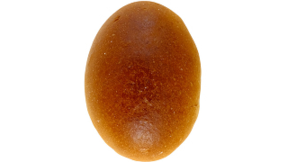 Morbidino