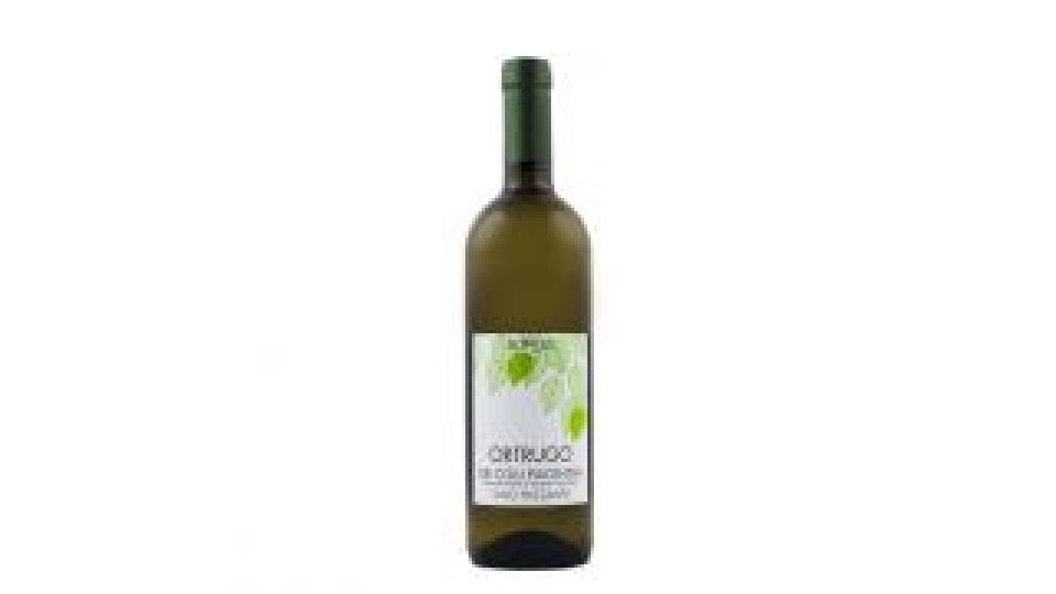 Ortrugo Doc