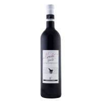 Merlot del Veneto Igp