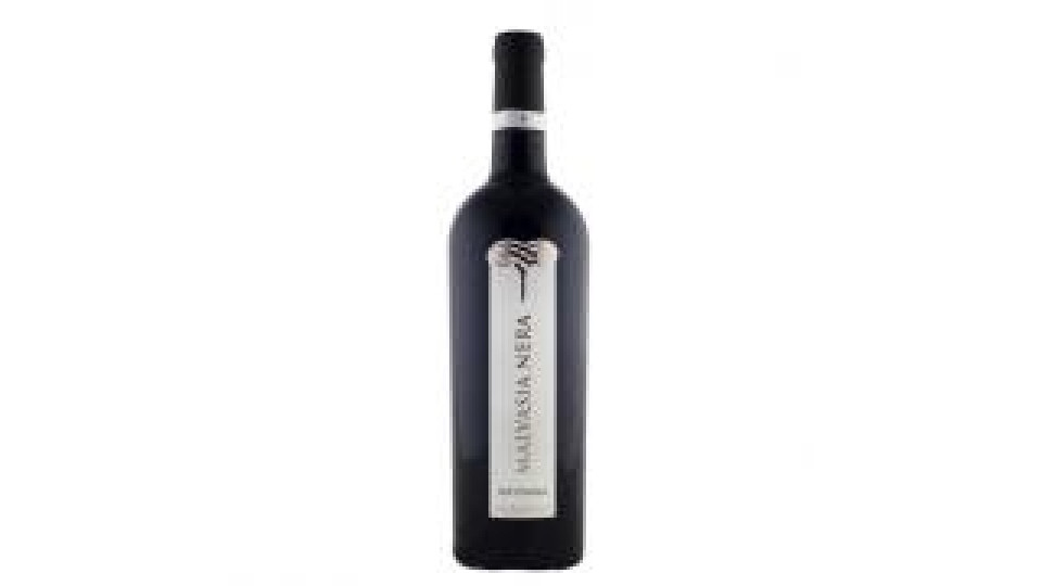 Malvasia Nera Igp