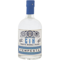 Premium Gin Ricetta Italiana 42% Vol.