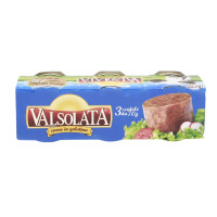 Carne Lessata