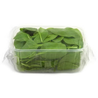 Spinaci Foglia