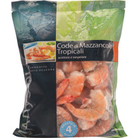 Code Mazzancolle Tropicali