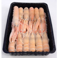 Scampi 21/30