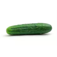 Cetrioli