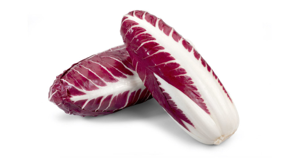 Radicchio Rosso Lungo