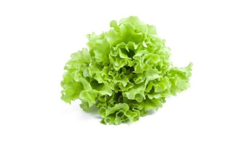 Insalata Gentile