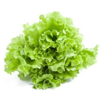 Insalata Gentile