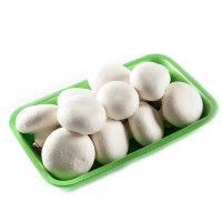 Funghi Champignon Bianchi