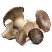Funghi Cardoncello